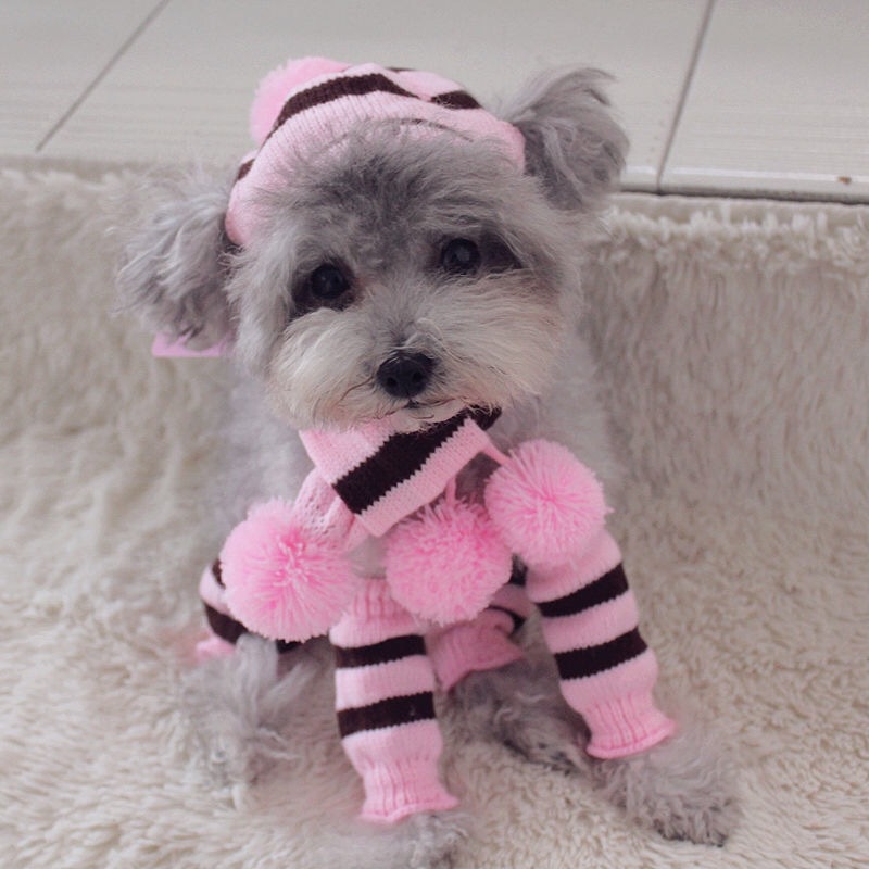 Rainbow Stripe Knitted Dog Win - огляд і ціна Winter Clothing Leg Warmers