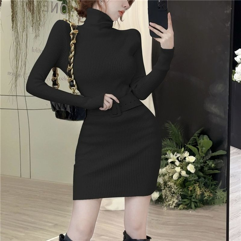 Bodycon Turtleneck Short Skinn - огляд і ціна Winter Clothing On Sale