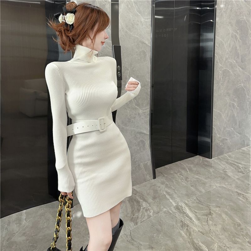 Bodycon Turtleneck Short Skinn - огляд і ціна Winter Clothing On Sale